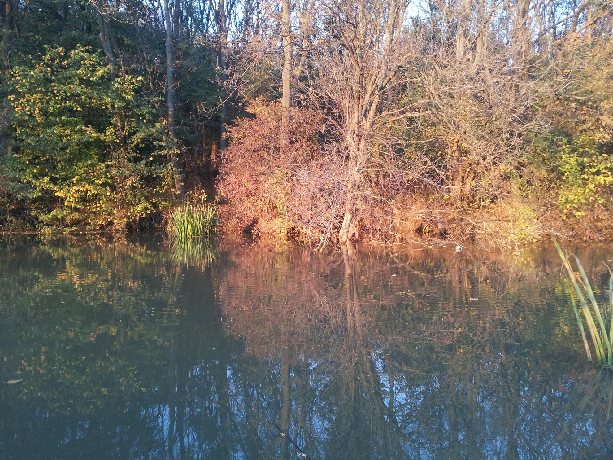 Neajlov - 20131022174554.jpg